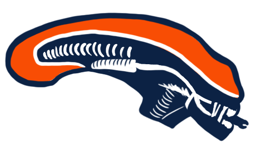 Denver Broncos Halloween Logo fabric transfer